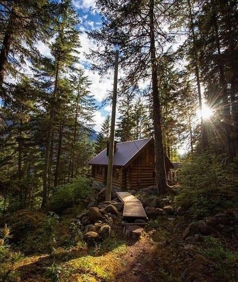 Snack Dinner, Snack Lunch, Ecological House, Instagram Breakfast, Off Grid Cabin, Vacation Cabin, Adventure Hiking, Little Cabin, Tiny Cabin