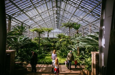 31 Free Things to Do in Chicago | Free Museums, Attractions, Tours, and More Garfield Park Conservatory, Chicago Cultural Center, Chicago Riverwalk, Things To Do In Chicago, Chicago Winter, Chicago Museums, Visit Chicago, City Gallery, Millennium Park