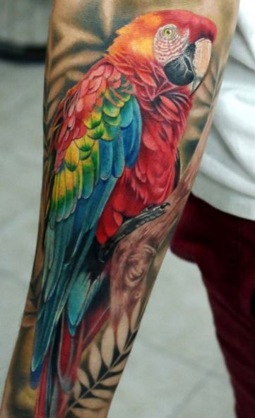 70 Colorful Parrot Tattoos, Ideas, & Meaning - Tattoo Me Now Parrot Sleeve Tattoo, Parrot Tattoos, Bold Tattoo, Parrot Tattoo, 2024 Tattoo, Tattoo Me, Tattoo Reference, Colorful Parrots, Dope Tattoos