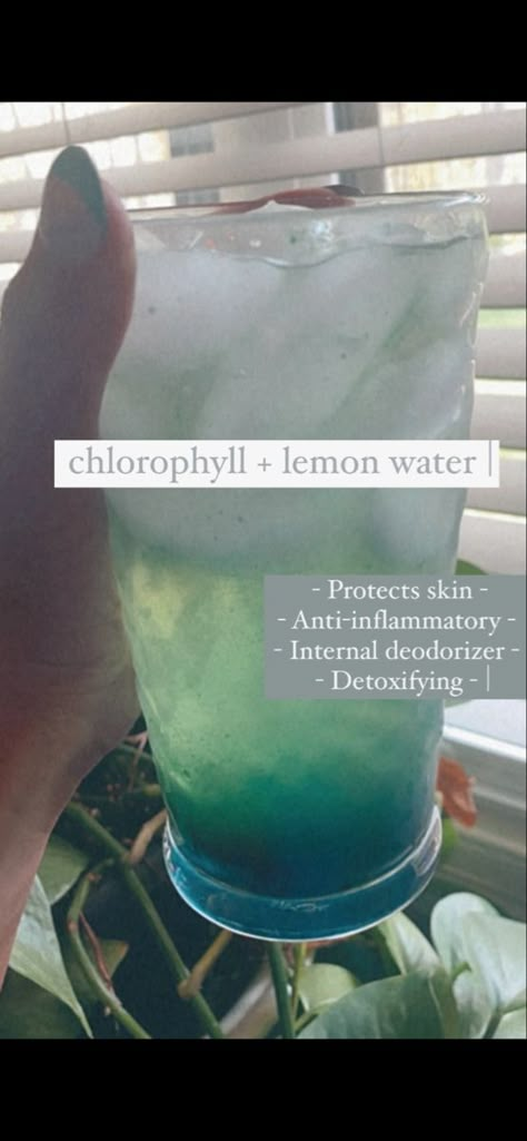 Chlorophyll Water Recipe, Benefits Of Chlorophyll Water, Chlorophyll Benefits Women, Healthy Elixirs, Liquid Chlorophyll Benefits, Benefits Of Chlorophyll, Chlorophyll Benefits, Chlorophyll Water, Liquid Chlorophyll