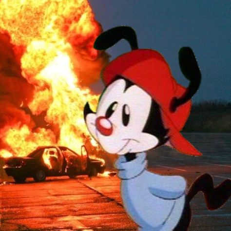 Its a pfp or icon idk 2000s Pfp Cartoon, Animaniacs Matching Pfp, Wakko Warner Pfp, Yakko Warner Pfp, Animaniacs Pfp, Animaniacs Yakko, Animaniacs Funny, The Animaniacs, Wakko Warner