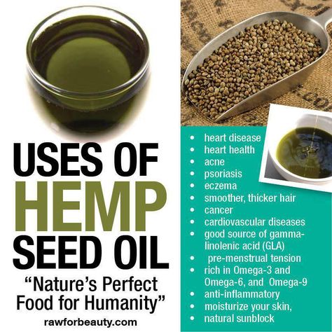 Hemp Oil Benefits, Endocannabinoid System, Health Ideas, Inflammatory Foods, Hemp Seed, Oil Benefits, Hemp Seed Oil, Hemp Seeds, Hemp Oil