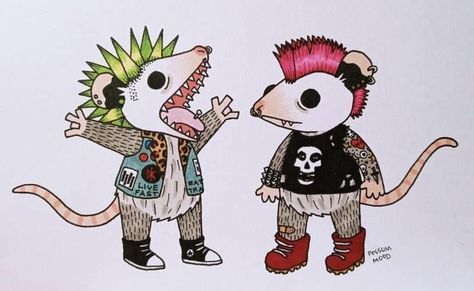 Punk Possum Art, Punk Rock Drawings, Punk Rat Tattoo, Punk Opossum, Punk Possum, Punk Sketchbook, Punk Art Drawings, Punk Rat, Punk Drawing