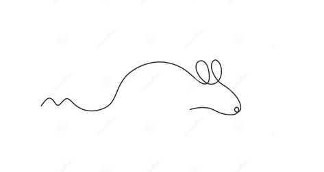 Small Rat Tattoo, Mouse Line Drawing, Rat Drawn Cute, Mouse Tattoo, Rat Tattoo, Mouse Tattoos, Mouse Drawing, Simple Drawings, Hat Ideas