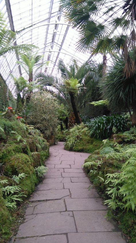 Tatton Park, Fernery Tatton Park, Soane Britain, Hand Printed Fabric, Shoot Ideas, Fern, Printing On Fabric, Design