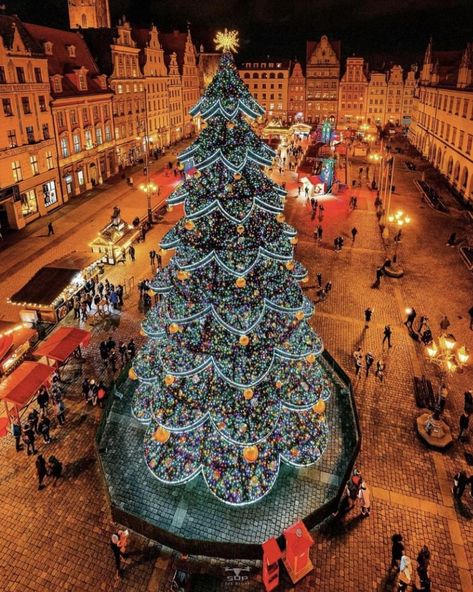 Weeping Willow Tree, Wroclaw Poland, Christmas In The City, Peace Love Happiness, Weeping Willow, Wroclaw, Willow Tree, Christmas Market, Happy Christmas