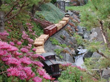 Garden Train, Mountain Garden, Garden Railings, Garden Trains, Garden Railroad, Light Purple Flowers, Garden Railway, Model Train Scenery, Model Ideas