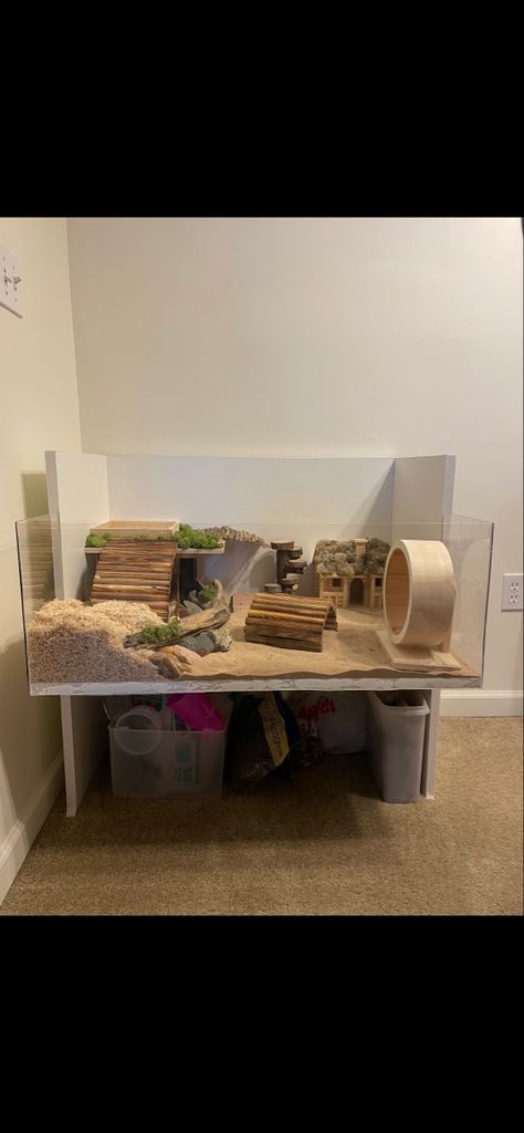 I built this from directions i found on a website. I had Home Depot cut melamine for me and I had the acrylic cut at a hardware store Hamster Cage In Bedroom, Hamster Habitat Ideas, Hamster Cage Inspiration, Hamster Decorations, Hamster Aesthetic Cage, Aesthetic Hamster Cage, Hamster Room, Hampster Cage, Hamster Aesthetic