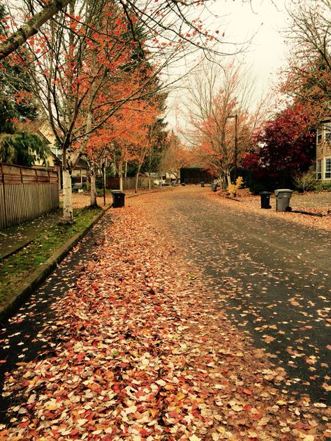 Oregon Neighborhoods, Oregon Suburbs, Portland Oregon City, West Linn Oregon, Aesthetic Scenery, Oregon Portland, Movie Ideas, Fav Books, Oregon City