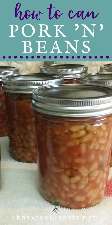 Pork 'n' Beans is the side dish that goes with everything! Learn how to make and can your own at home. Canning Pork And Beans Recipe, Canning Pork And Beans, Canned Pork And Beans Recipe, Pork And Beans Recipe Canned, Pork N Beans Recipe, Pressure Canning Pork, Homemade Pork And Beans, Canning Pork, Things To Can