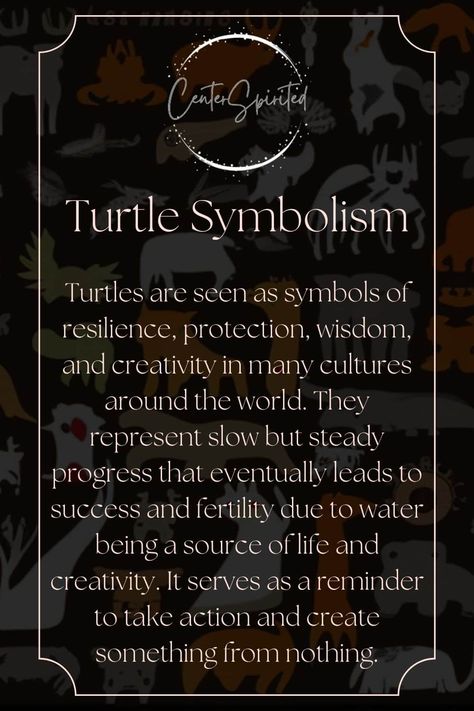 Turtle Symbolism and Spiritual Meaning Turtle Spiritual Meaning, Turtle Wisdom, Turtle Meaning, Turtle Symbolism, Turtle Spirit Animal, Turtle Symbol, Buddhism Beliefs, Spirit Animal Meaning, Spiritual Magic