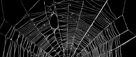 cobweb,mesh,black and white,poster banner,textured,grain,black,white,poster,banner,black Spider Background, Black White Poster, Web Spider, Banner Black, Black Background Images, Poster Banner, Wallpaper Pattern, Background Photo, Black And White Posters