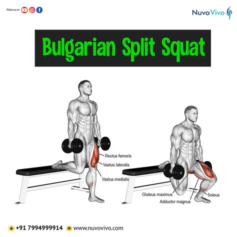 Lifestyle Diseases, Squat Exercise, Lower Body Strength, Split Squats, Strength Exercises, Bulgarian Split Squats, Squat Workout, Split Squat, Body Strength