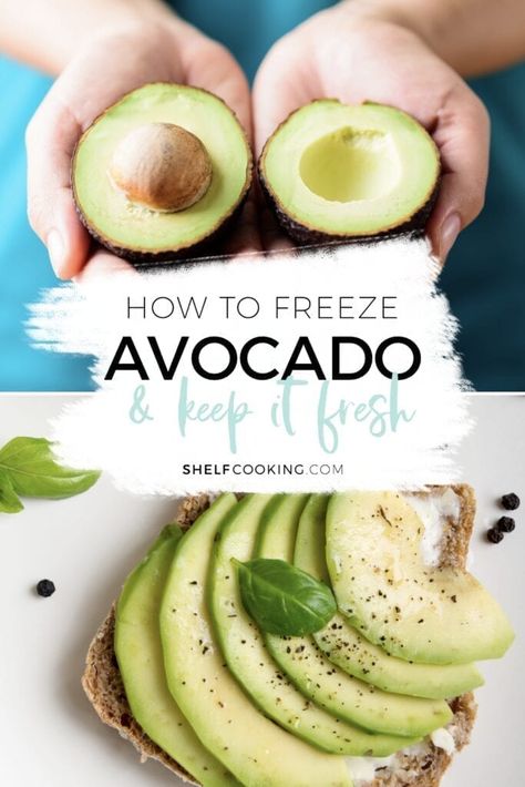 Avocados are too expensive to let them go to waste! Whether you stock up during a good sale or didn't have enough time to eat yours, learn how to freeze avocados the right way and they'll taste as fresh as the day you bought them! Freezing Food Guide, Avocado Hacks, How To Store Avocado, Shelf Cooking, Freeze Avocado, Freezing Vegetables, Prevent Food Waste, Fresh Guacamole, How To Make Guacamole