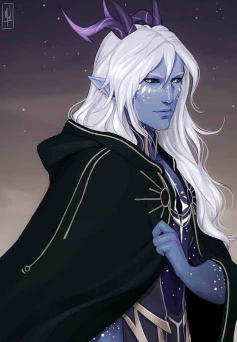 @Merwild Aaravos Aesthetic, Aaravos Fanart, Elf Man, Prince Dragon, Dragon Z, Dragon Princess, The Dragon Prince, Lizards, Dnd Characters