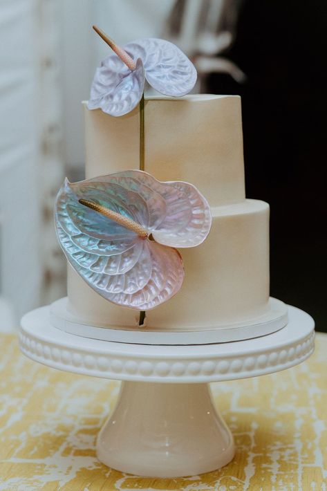 Wedding Cake Inspo: white two tiered cake with statement iridescent anthurium were the perfect touch to this over the top tropical neon wedding at Herrington on the Bay Wedding Cake Tropical Flowers, Anthurium Wedding Cake, Plumeria Wedding Cake, Two Tiered Cake, Carrol Boyes, Tropical Neon, Flamingo Wedding, Wedding Shower Cakes, White Flamingo