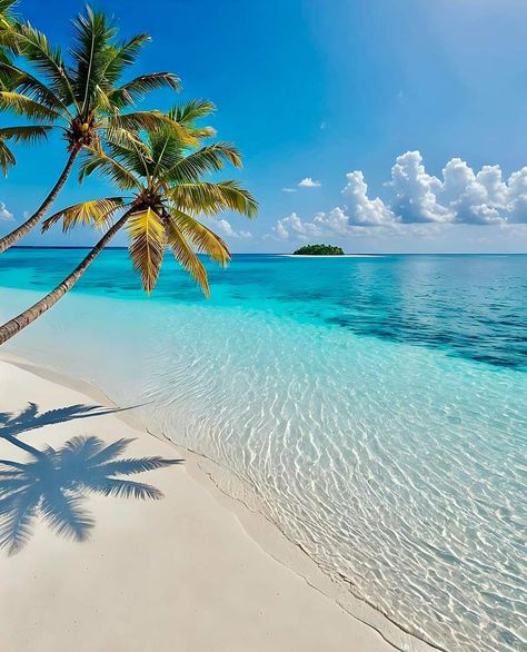 Beach Aesthetic Palm Trees, Tropical Beach Wallpaper, Beautiful Summer Wallpaper, Beautiful Beach Pictures, Beautiful Ocean Pictures, Beautiful Scenery Pictures, Ocean Pictures, Tropical Beaches, Pretty Landscapes