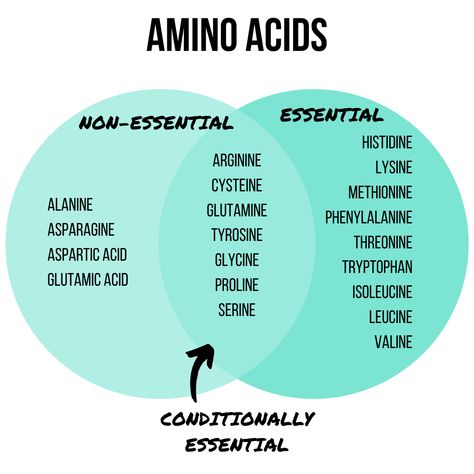 Amino Acids - Essential vs Non-Essential | Amino acids are the building blocks of protein, but why is protein so important anyway? This article covers benefits of protein, how much you need, and sources #chelseadishes #protein101 #aminoacids #nutritioninfographic #nutritionfacts Amino Acids For Muscle, Amino Acids Food, Chemistry Facts, Amino Acids Benefits, Benefits Of Protein, Foods That Contain Protein, Biochemistry Notes, Protein Benefits, Benefits Of Mindfulness