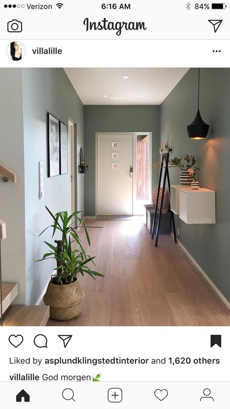 Sage Green Hallway, Hallway Wall Colors, Hallway Colour Schemes, Hall Ways Ideas, Hallway Paint Colors, Entrance Hall Decor, Green Hallway Ideas, Hallway Paint, Hall Colour