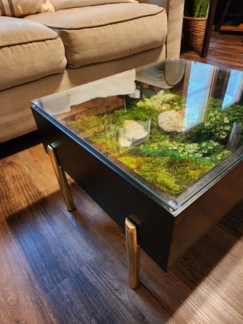 Terrarium Table, Glass Tables, Handmade Coffee Table, Garden Coffee Table, Garden Coffee, Biophilic Design, Moss Garden, Preserved Moss, Table 2