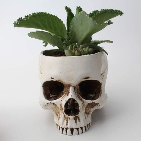 Skull Planter, Skull Model, Head Flower, Resin Skull, Planter Gift, Small Cactus, Head Planters, Craft Decoration, Mini Succulents