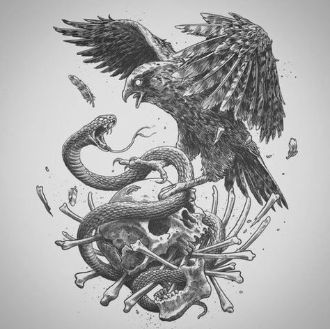 Eagle Skull Drawing, Crow Snake Tattoo, Raven And Snake Tattoo, Eagle Snake Tattoo, Eagle And Snake Tattoo, Eagle Skull, Hawk Tattoo, Eagle Drawing, Snake Drawing