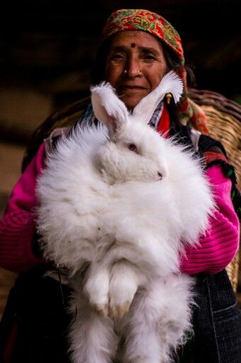 Woman Holding Rabbit, Holding Rabbit, Manali India, Rabbit Clothes, Visit Places, Angora Rabbit, Amazing Animals, Rabbits, Art Inspo