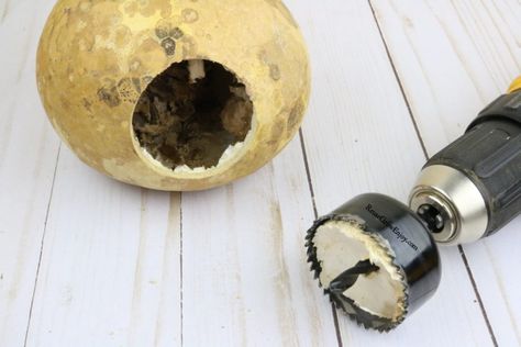 If you need to add a few birdhouses to the garden or yard, check out this easy birdhouse DIY. It is made from a natural gourd! Gourd Birdhouses Diy, Large Bird Houses, Black Oil Sunflower Seeds, Martin House, Wood Burning Tool, What Is A Bird, Gourds Birdhouse, How Do You Clean, Unique Bird Houses