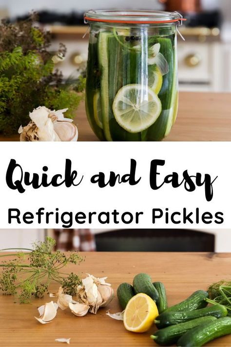 Pickled Mini Cucumbers, Mini Cucumber Pickles, Mini Cucumbers Recipes, Homemade Refrigerator Pickles, Mini Pickles, Refrigerator Pickle Recipes, Pickled Vegetables Recipe, Sweet Like Honey, How To Make Pickles