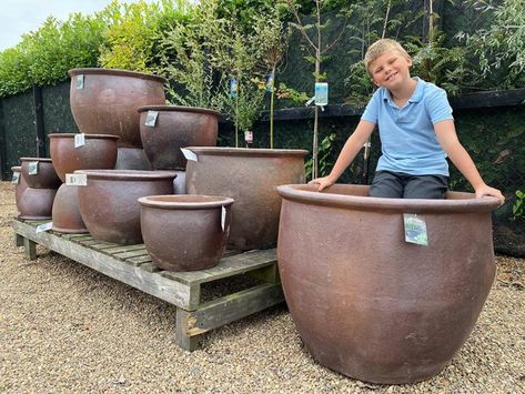 Big Pot Plants, Large Terracotta Planters, Oversized Planters, Indoor Plants Diy, Large Garden Pots, Large Terracotta Pots, Planters Outdoor, Indoor Plants Styling, Large Flower Pots