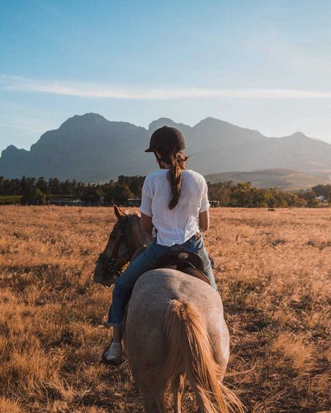 Riding Aesthetic, Horse Riding Aesthetic, Foto Cowgirl, Horse Care Tips, Rasy Koni, Last Ride, Horse Aesthetic, Brown Horse, Horse Life