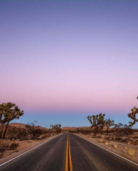 Driving through the desert along the road with a gorgeous California sunset. 📷: Chris Grant Desert California Aesthetic, Palm Desert Aesthetic, California Desert Aesthetic, Desert Drive, Sunset Drive, Desert Aesthetic, Desert Road, Ipad Aesthetic, Pink Desert