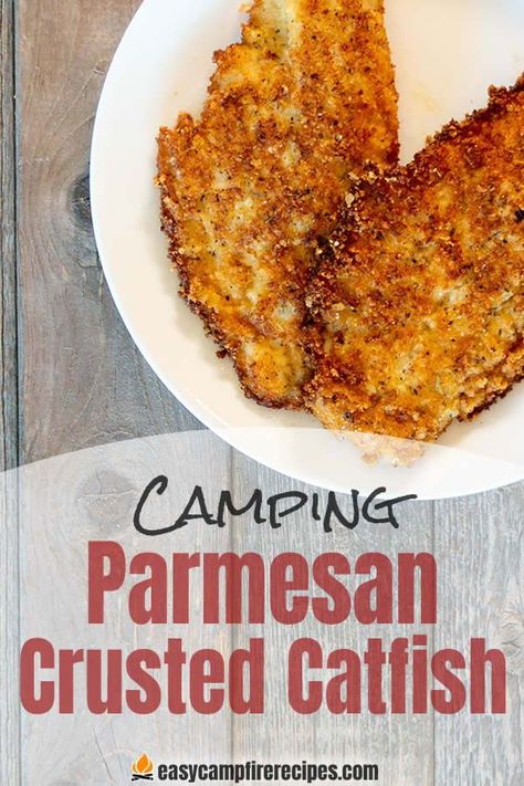 Catfish coated with parmesan and panko and then fried is a crispy, crunchy, flavor-filled meal that's an easy alternative to the traditional cornmeal coating. It's easy to cook on a camp stove or in a cast iron skillet over a fire.   #fishrecipes #campingfood #campingrecipes #campstove #castironskillet #skilletrecipes Panko Catfish Recipes, Fishing Knowledge, Easy Campfire Meals, Grilled Catfish, Texas Culture, Campfire Recipes, Catfish Recipes, Country View, Seafood Entrees