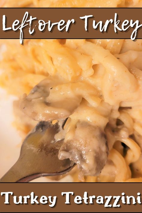 This delicious turkey tetrazzini recipe will have you looking forward to gobbling up your Thanksgiving leftovers! Tender linguine strands are swathed in a delectably rich, creamy sauce. Succulent tidbits of turkey and sauteed mushrooms bring heartiness to the dish, making it a robust, delicious dinner. Once you try this dish, you'll be looking forward to turkey leftovers every year! Turkey Tettrazini Recipes, Turkey Linguine, Healthy Turkey Tetrazzini Recipe, Turkey Tetrazzini Cream Of Mushroom Soup, Turkey Noodle Casserole Recipes Leftover, Chicken Soup With Dumplings, Turkey Tetrazzini Recipe, Soup With Dumplings, Chicken Dumpling Soup