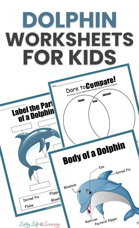 Dolphin Worksheet, All About Dolphins, Homeschool Unit Studies, Ocean Sea Creatures, Worksheets 2nd Grade, Dolphin Facts, Imago Dei, Lap Book, Research Poster