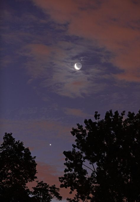 In today's "Astronomy Photo of the Day" an Astrophotographer extraordinaire took this magnificent shot of Jupiter, the Moon and the four Galilean moons of Jupiter (Ganymede, Io, Europa and Callisto) from Saint-Cloud, France using a Canon 5D mark II and 135mm lens.    The full photo also shows Venus in the same shot with the Moon and Jupiter:    Caption: The Moon, Venus and Jupiter. Credit Thierry Legault. Moon Venus Jupiter, Moon And Jupiter, Galilean Moons, Moons Of Jupiter, Venus And Jupiter, Space Notes, Venus Jupiter, Canon 5d Mark Ii, Jupiter Moons