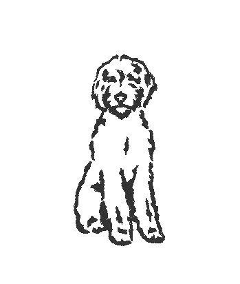 Excited to share the latest addition to my #etsy shop: Goldendoodle Embroidery design - Dog Machine Embroidery - Doodle Dog Embroidery-Instant Download - Embroidery File - Digital Embroidery File https://etsy.me/3jJO5Xc #housewarming #christmas #embroidery #golden #doo Machine Embroidery Designs Monogram, Machine Embroidery Designs Projects, Dog Outline, Halloween Embroidery Designs, Beginner Sewing Patterns, Embroidery Template, Doodle Dog, Halloween Embroidery, Cute Embroidery