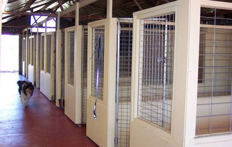 Aesthetically Pleasing Dog Resort, Kennel Diy, Custom Dog Crate, Luxury Dog Kennels, Boarding Kennels, Dog Boarding Kennels, Resort Ideas, Kennel Ideas, Dog Kennel Designs