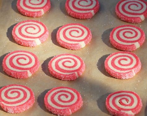 Nancy's Peppermint Swirl Cookies on BakeSpace.com Peppermint Swirl Cookies, Christmas Swirl Cookies, Mint Cookies Recipe, Swirl Sugar Cookies, Xmas Goodies, Swirl Cookies, Christmas Bakes, Chocolate Videos, Christmas Cookie Recipes Holiday