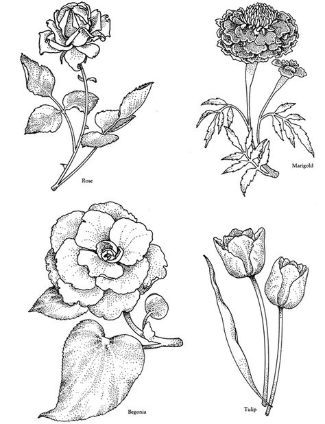 A Treasury of Flower Designs for Artists, Embroiderers and Craftsmen Dover Publications Dover Coloring Pages, 4 Tattoo, Dover Publications, Floral Drawing, Music Books, Books Art, Art Books, Digi Stamps, Classic Literature