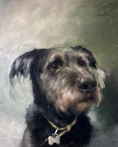 Sweet doesn't cut it with this one 🧡 #sweetheart #allaprimaportrait #petportrait #animalportrait #brushstrokes #contemporaryart #realism… | Instagram Dog Portraits Painting Oil, Jennifer Gennari, Dog Watercolor Art, Dog Portraits Painting, Labrador Art, Dog Portraits Art, Dachshund Art, Animal Portraits Art, Custom Dog Portraits