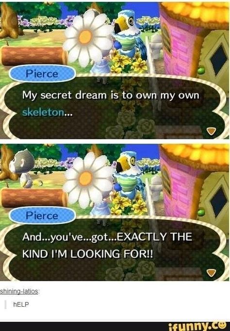 Ac New Leaf, Animal Crossing Funny, Animal Crossing Fan Art, Animal Crossing Memes, Video Game Memes, New Animal Crossing, Animal Crossing Game, A Silent Voice, Animal Crossing Qr