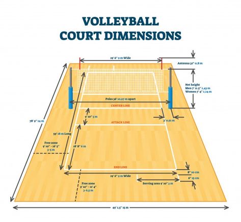 Volleyball court dimensions size guide, ... | Premium Vector #Freepik #vector #sports #volleyball #field #court Volleyball Court Diagram, Volleyball Court Size, Volleyball Court Backyard, Volleyball Court Dimensions, Volleyball History, Guide Illustration, Volleyball Equipment, Beach Volleyball Court, Volleyball Posters