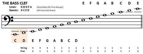 Playing Bass: Learn To Read Bass Notes:  The Bass Clef Cello Notes, Cello Tutorial, Cello Teaching, Bass Scales, Bass Chords, Bass Lessons, Learn Piano Notes, Music Knowledge, Bass Guitar Notes