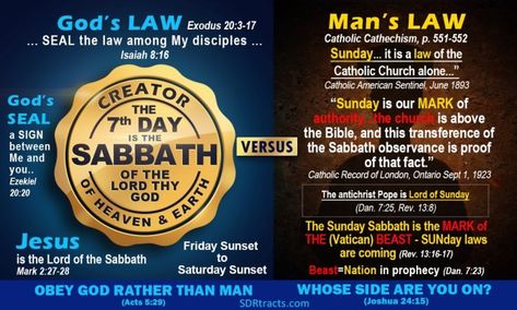 As everyone alive will soon see not too long from now, the Pope will use climate change to enforce Sunday Laws with the claim that keeping Sunday holy will stop all the “climate disasters” as he will call them when in fact they are all the signs of the end. That being the case I thought it wise to share with my subscribers the following verses the Pope and all Sunday keeping pastors like to twist out of context with the hopes of making billions believe the Sabbath is Sunday when in reality there Gods Princess, Sabbath Day, The Pope, Out Of Context, The Son Of Man, True Facts, Spirit Guides, The Signs, Faith In God