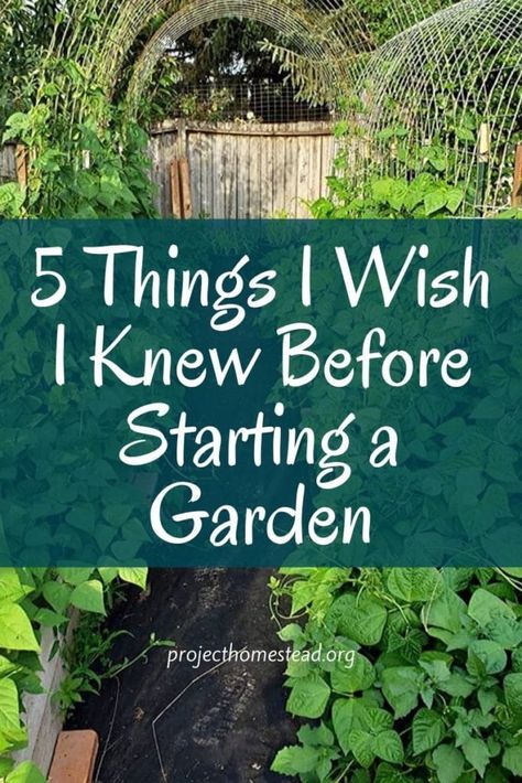 5 Things I Wish I Knew Before Starting a Garden - Project Homestead My First Garden Backyards, Designing A Vegetable Garden, Crop Garden Design, Raised Garden With Greenhouse, Food Garden Layout Design, Starting A Raised Garden For Beginners, Garden Size For Family Of 5, Starting A Cottage Garden, How To Start An In Ground Garden