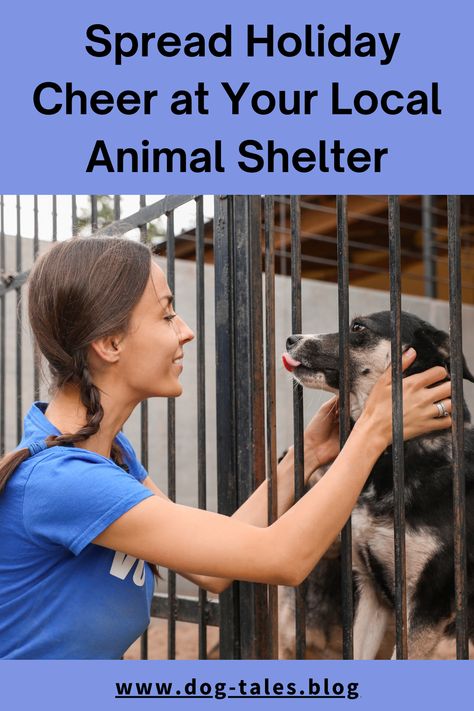 Want to bring joy to animals and help your local shelter this holiday season? Discover Animal Shelter Volunteer ideas that are fun, fulfilling, and impactful for both you and the pets. 🐕 Save this pin for ways to make your holiday season brighter by giving back! 🎄✨ Volunteer Ideas, Animal Shelter Volunteer, Dog Emotions, Pet Shelter, Living With Dogs, Dog Biscuits Homemade, Dog Activities, Foster Care, Dog Behavior