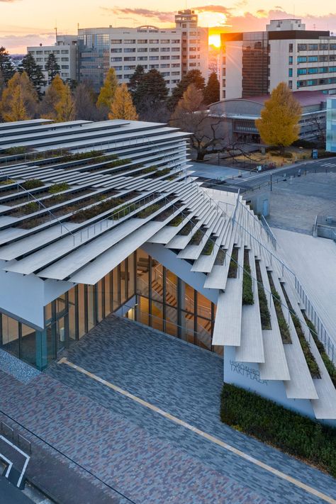 Kengo Kuma Architecture, Underground Building, External Staircase, Japan Architecture, Stairs Architecture, Kengo Kuma, Parametric Architecture, Japanese Architect, Structure Architecture