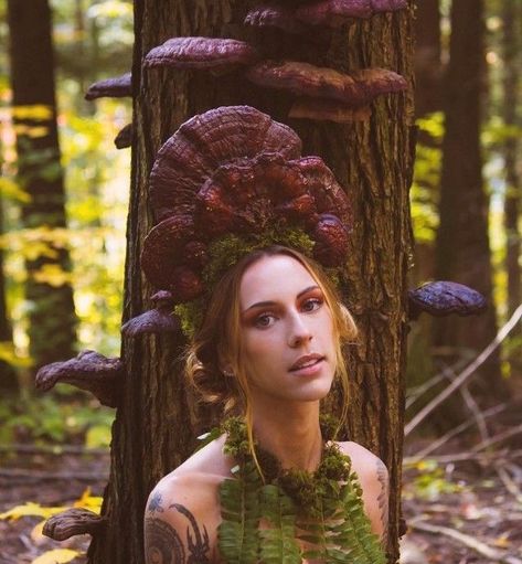 You Should See Me In A *Reishi* Crown 👑 We all deserve to live like royalty, right? Image by @camhoeff #mushroommonday #billieeilish #youshouldseemeinacrown #reishi #crown #royalty #funkyfungi #mushroomqueen #mushrooms #reishimushroom #lingzhi #nature #natureart #neature #naturephotography #mushroomphotography #mushroomart #mushroomlover #mushlove #mushies #fantasticfungi #fungifan #camhoeff #🍄 #👑 Fairycore Makeup, Mushroom Crown, Fern Necklace, Plant Magic, Medicine Woman, Mushroom Art, Themed Outfits, Headdress, Get Over It