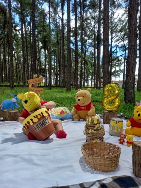 Winnie The Pooh Photo Shoot, Baby Boy Disney, Pooh Bebe, Winnie Poo, Winnie The Pooh Cake, Baby Boy Newborn Photography, Baby Milestones Pictures, Winnie The Pooh Themes, Baby Boy 1st Birthday Party